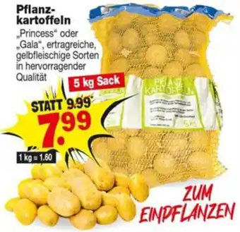 Repo Markt Pflanz- kartoffeln 5kg Angebot