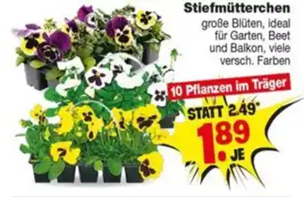 Repo Markt Stiefmütterchen Angebot