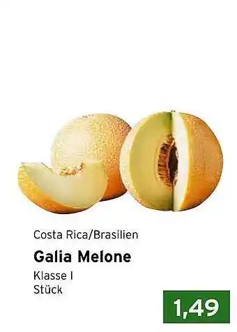 CAP Markt Galia Melone Angebot