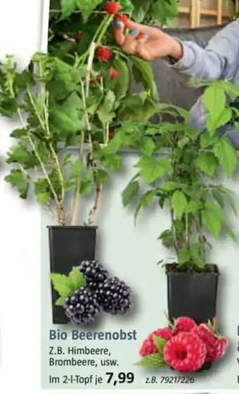 Bauhaus Bio Beerenobst Angebot