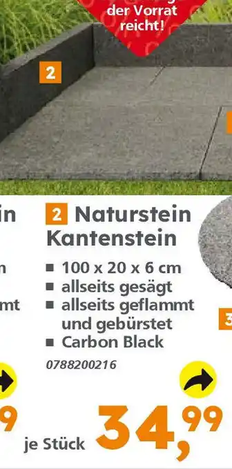 Globus Baumarkt 2 Naturstein Kantenstein Angebot