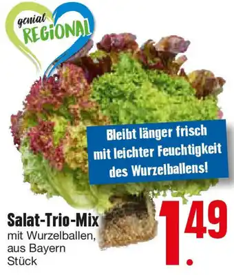 Edeka Salat-Trio-Mix Angebot