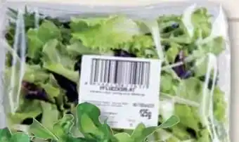 Edeka Frischemarkt Rucola Angebot