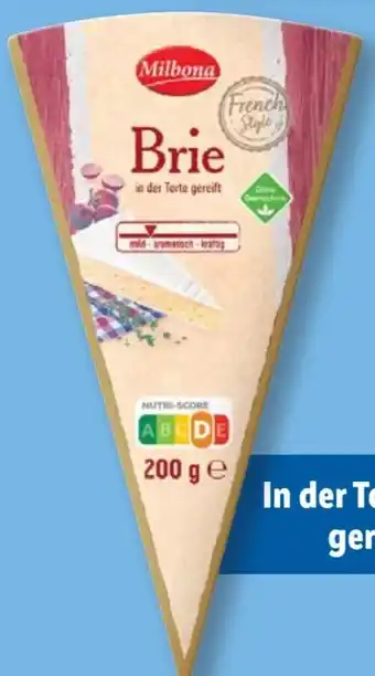 Lidl Brie Spitze Angebot