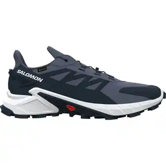 Intersport SALOMON Herren Trailrunningschuhe SHOES SUPERCROSS 4 GTX Grisai/Wht/Carbon Grisaille/White/Carbon 42 ⅔ Angebot