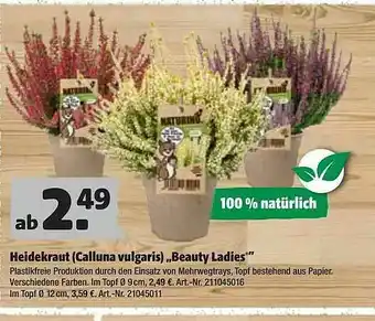 Hagebau Heidenkraut (calluna Vulgaris) „beauty Ladies” Angebot