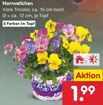 Netto Marken-Discount Hornveilchen Angebot