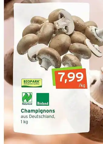 Naturgut Champignons Angebot