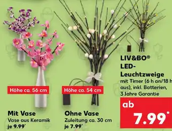 Kaufland LIV&BO LED Leuchtzweige Angebot