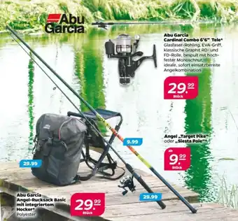 NETTO Angel,,Target Pike" oder ,,Siesta Pole“ Angebot