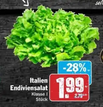 HIT Italien Endiviensalat Angebot