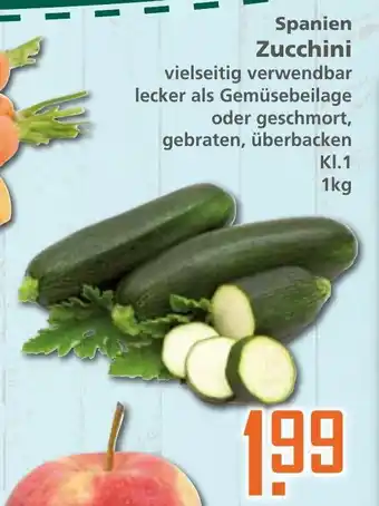 Klaas und Kock Spanien Zucchini 1kg Angebot