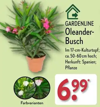 Aldi Nord GARDENLINE Oleander Busch Angebot