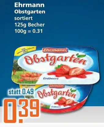 Klaas und Kock Ehrmann Obstgarten 125g Becher Angebot