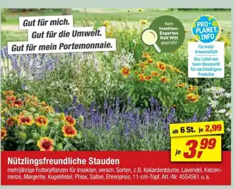 toom Baumarkt Nützlingsfreundliche Stauden Angebot