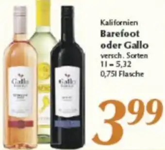 inkoop Kalifornien Barefoot oder Gallo 0,75 L Flasche Angebot