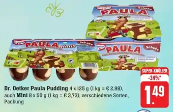 Scheck-in-Center Dr. Oetker Paula Pudding 4 x 125  auch Mini 8 x 50 g Angebot