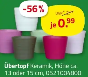 ROLLER Übertopf Angebot