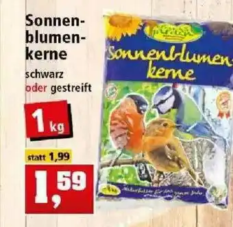 Thomas Philipps Sonnenblumen Kerne Angebot