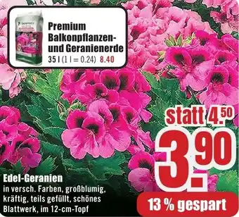 B1 Discount Baumarkt Edel-Geranien Angebot