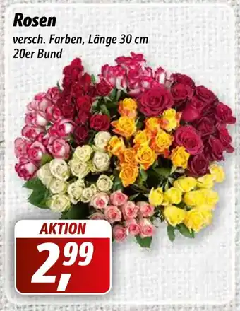 Simmel Rosen Angebot