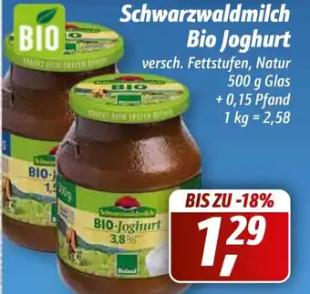 Simmel Schwarzwaldmilch Bio Joghurt 500g Angebot