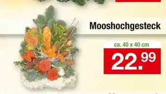 Zimmermann Mooshochgesteck Angebot