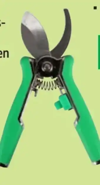 Thomas Philipps Mini-Feinschnittscheren Angebot