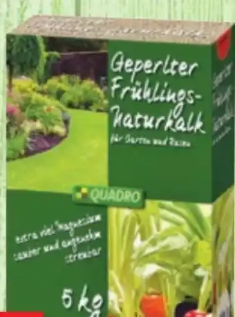 Thomas Philipps Geperlter Frühlings-Naturkalk Angebot