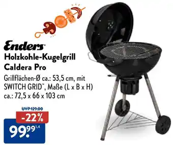 Aldi Süd Enders Holzkohle-Kugelgrill Caldera Pro Angebot