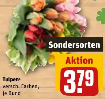 REWE Tulpen Angebot