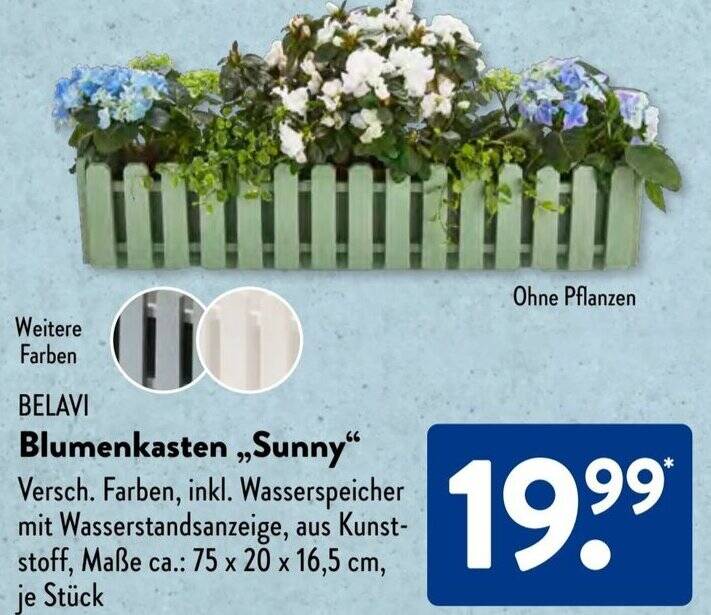 BELAVI Blumenkasten ,,Sunny" Angebot bei Aldi Sd
