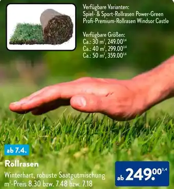 Aldi Süd Rollrasen Angebot