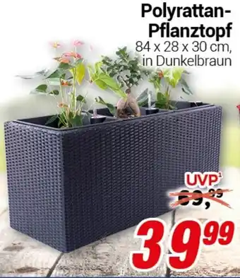 CENTERSHOP Polyrattan- Pflanztopf 84 x 28 x 30 cm Angebot