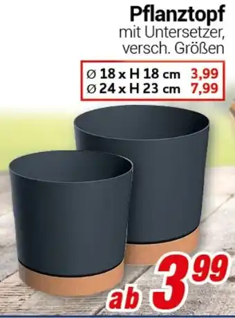 CENTERSHOP Pflanztopf 18 x H 18 cm Angebot