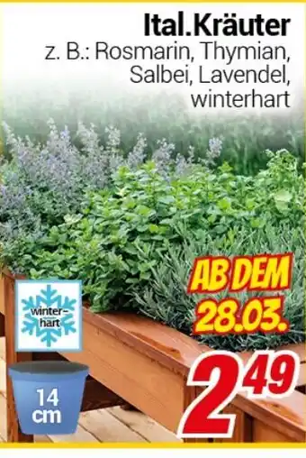 CENTERSHOP Ital.Kräuter Angebot