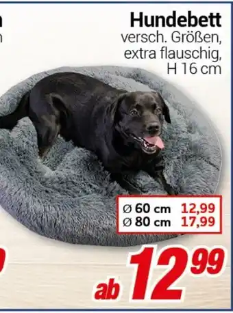 CENTERSHOP Hundebett H 16 cm Angebot