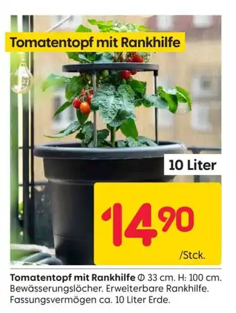 Rusta Tomatentopf mit Rankhilfe Angebot