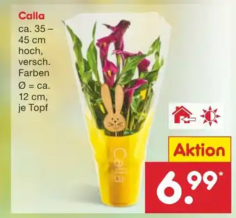 Netto Marken-Discount Calla Angebot