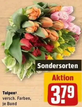 REWE Tulpen Angebot