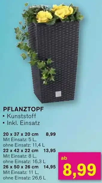 KODi PFLANZTOPF Angebot