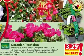 Norma Finest Garden Geranien/Fuchsien Angebot