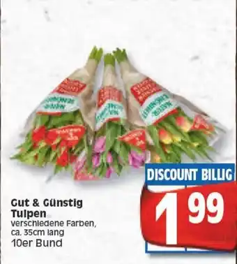 Edeka Gut & Günstig Tulpen Angebot