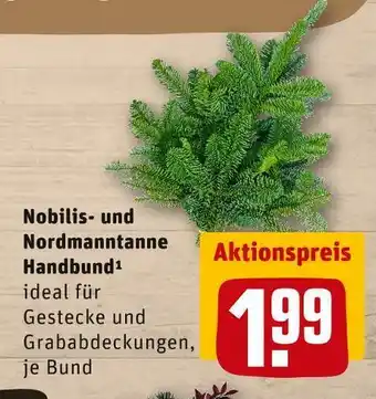 REWE Nobilis- und nordmanntanne handbund Angebot