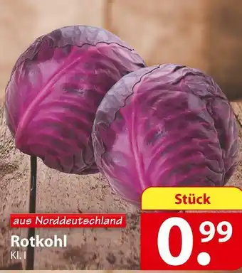 Famila Nord Ost Rotkohl Angebot