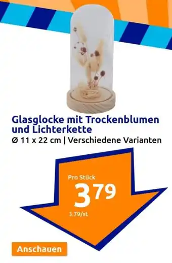 Action Glasglocke mit Trockenblumen und Lichterkette Angebot