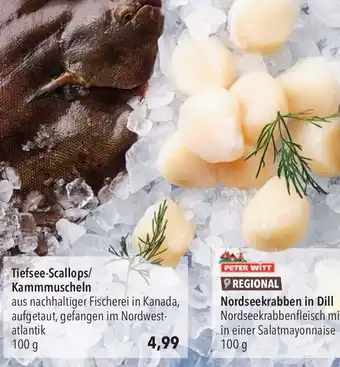 CITTI Markt Tiefsee-Scallops/ Kammmuscheln 100g Angebot