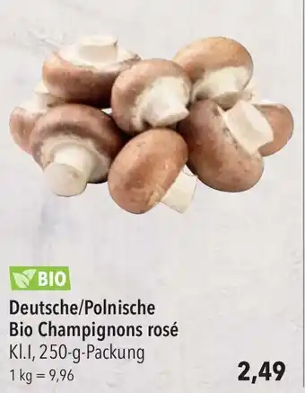 CITTI Markt Deutsche/Polnische Bio Champignons rosé KI.I, 250-g-Packung Angebot