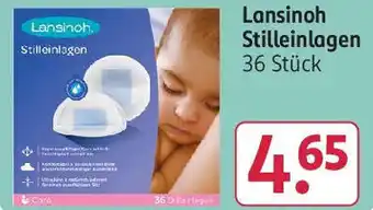 Rossmann Lansinoh Stilleinlagen 36 Stück Angebot