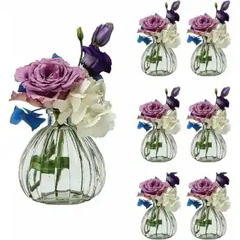 ManoMano Klare Gläser für Tisch- oder Hochzeitsdekoration, kleine Blumen, dekorative Vase, 6er-Set Angebot